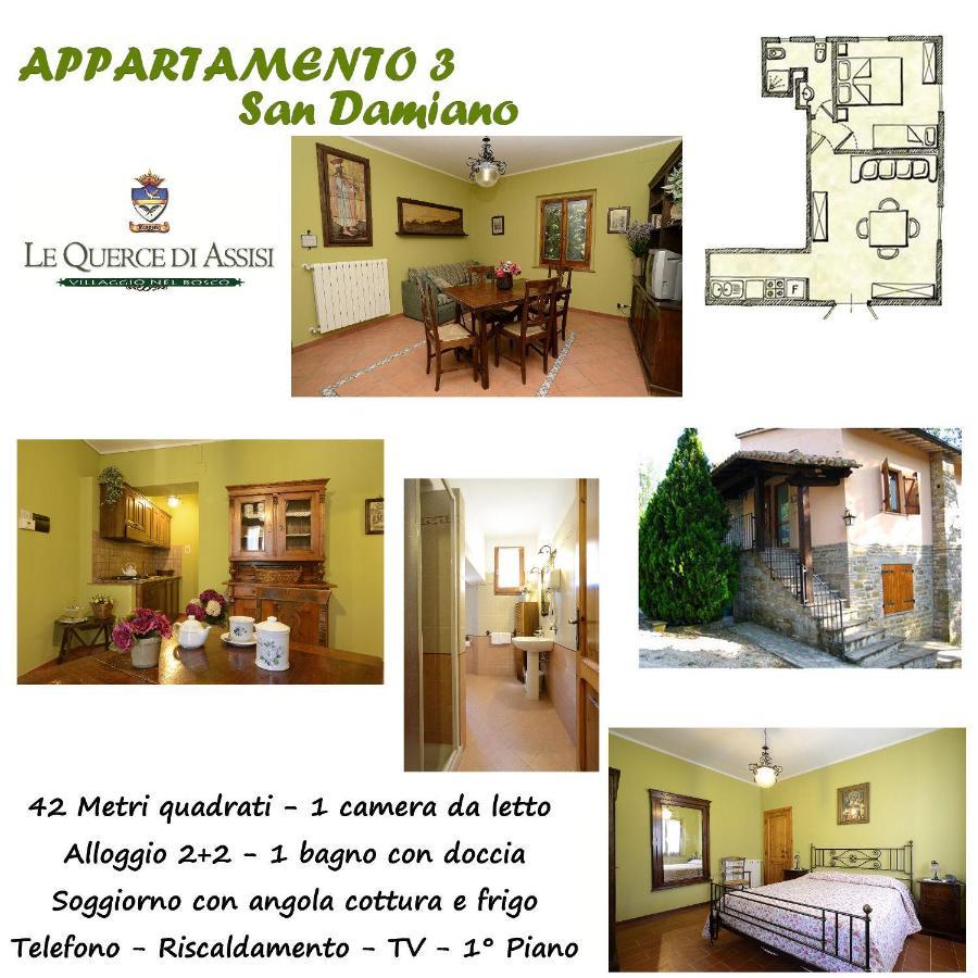 Le Querce Di Assisi Pensionat Piano Delle Pieve Eksteriør billede