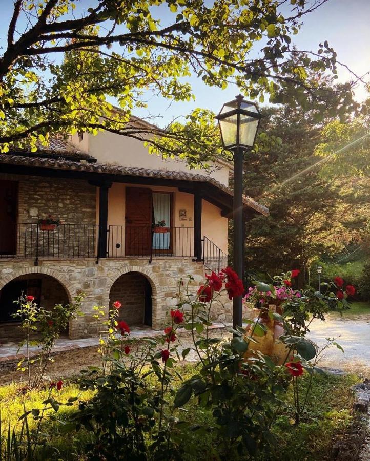 Le Querce Di Assisi Pensionat Piano Delle Pieve Eksteriør billede