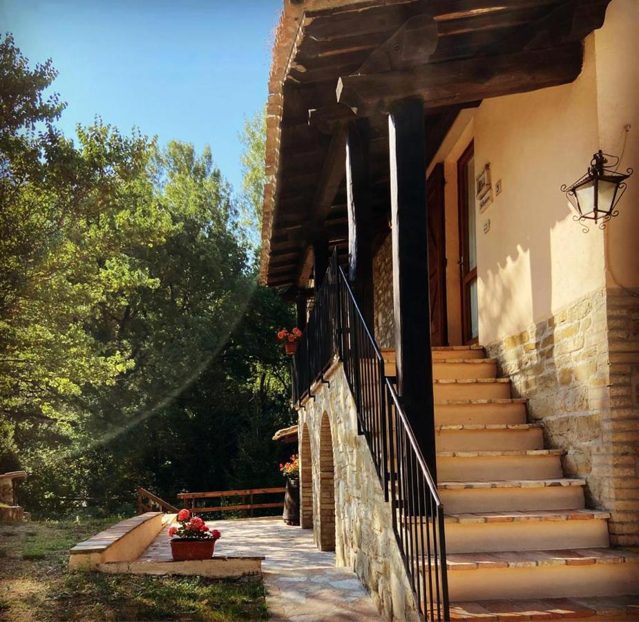 Le Querce Di Assisi Pensionat Piano Delle Pieve Eksteriør billede